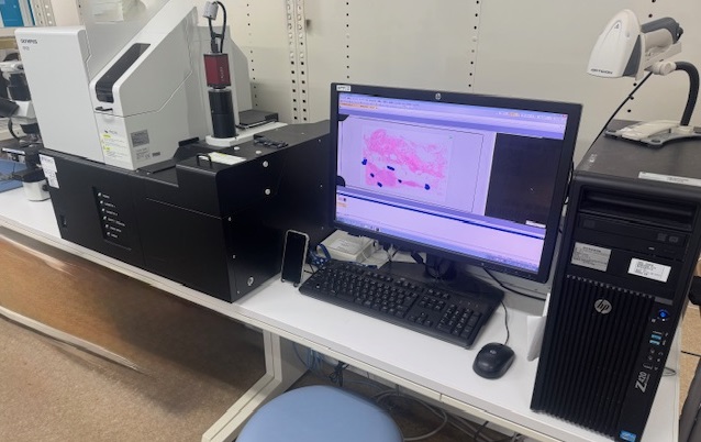 バーチャルスライド