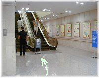 ③ 	総合案内を通過しますと、左手に２階に通じるエスカレーターがございます。このエスカレーターで２階にお上がりください。
