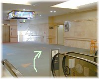 ④ 	エスカレーターを降りますと、右前方に「日帰り手術センター」「術前検査センター」「周術期外来」への入り口がございます。そちらへお進みください。