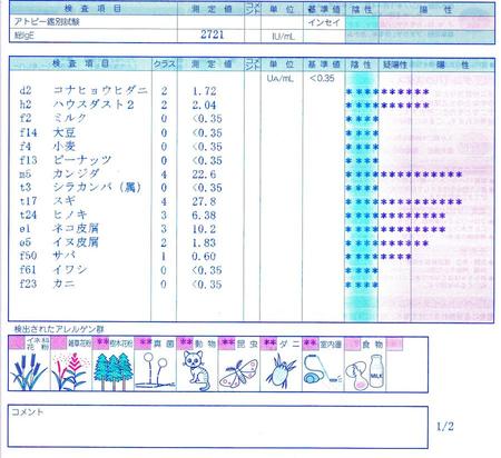 アレルギー報告書です。