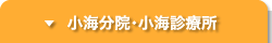 小海