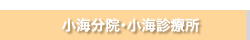 小海