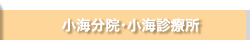小海